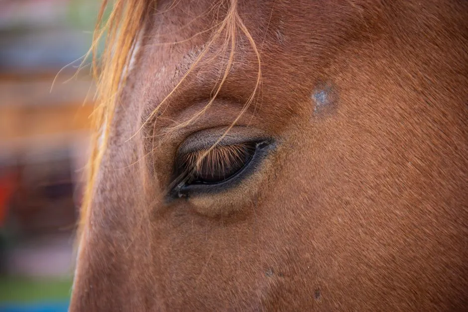 #10 - Their Eyes Soften Instead of Going Hard and Wide (Image Credits: Pexels)