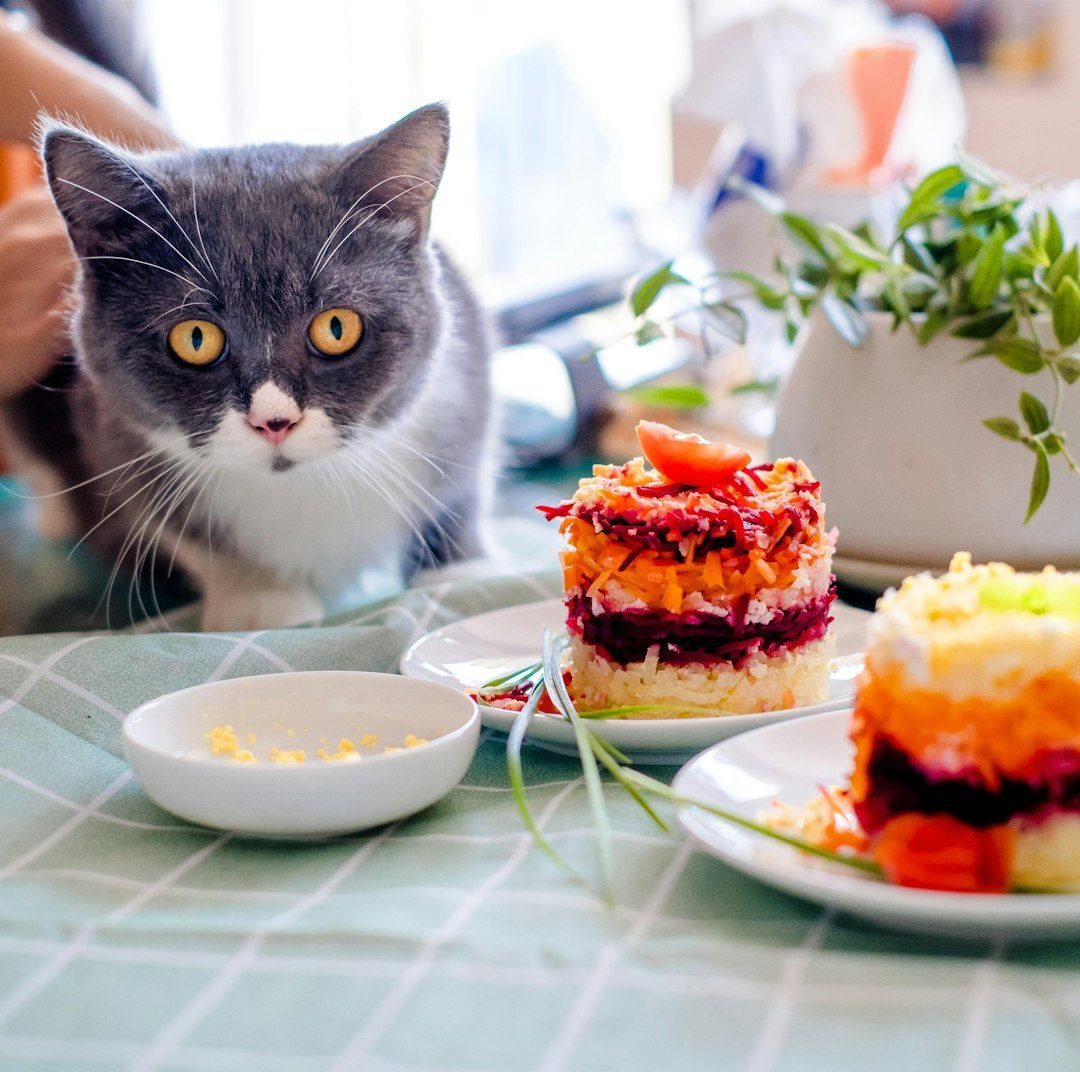 Food Preferences and Kitchen Secrets (Image Credits: Unsplash)