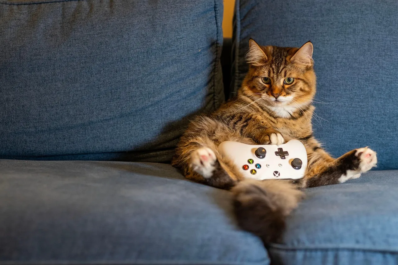 #9 - Their Favorite Spot Becomes Next to You, Not Above You (Image Credits: Pixabay)