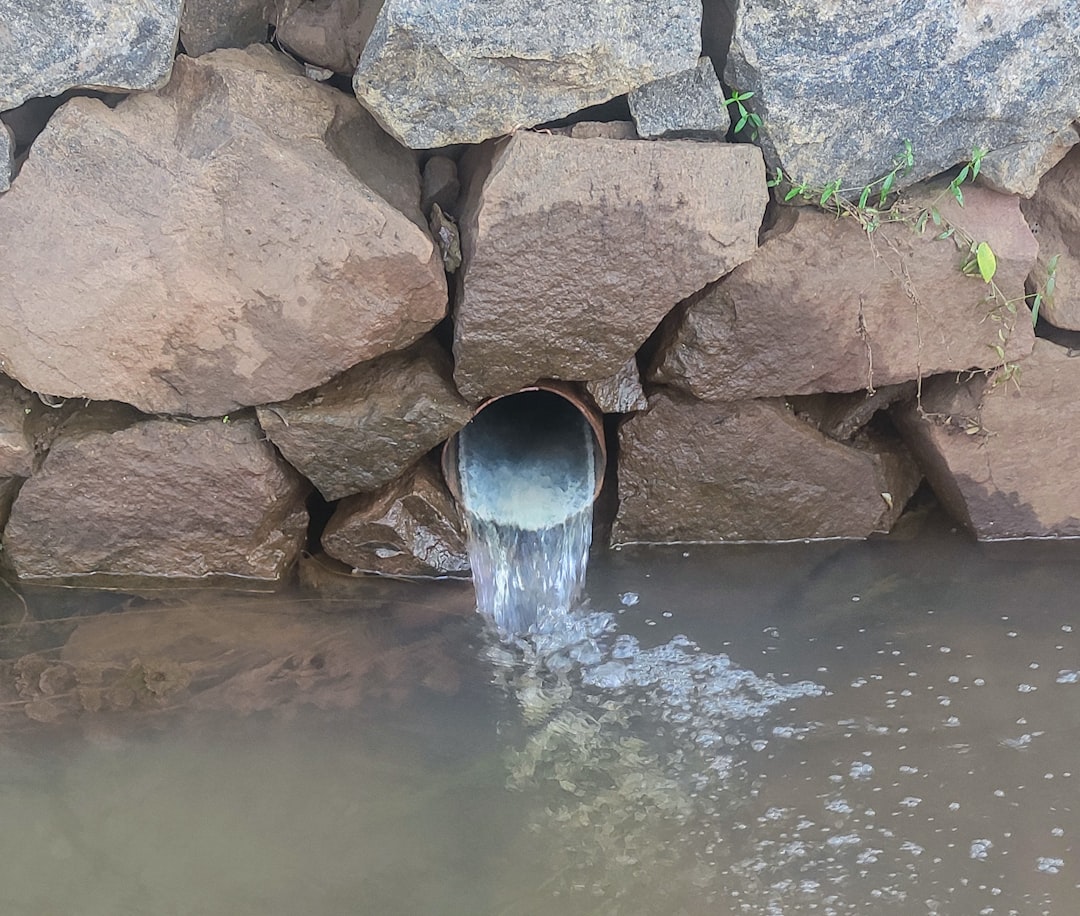Sacred Waters and the Protection of Life (Image Credits: Unsplash)