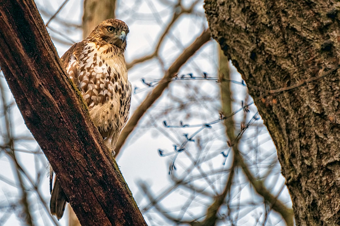 Environmental and Situational Factors (Image Credits: Unsplash)