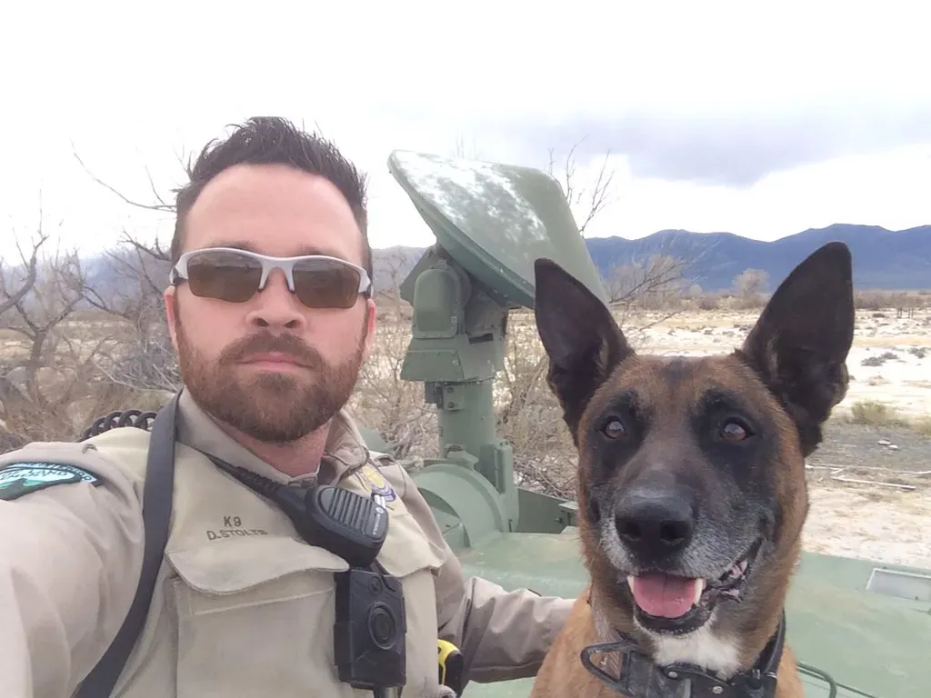 Belgian Malinois: The Tactical Powerhouse (Image Credits: Flickr)