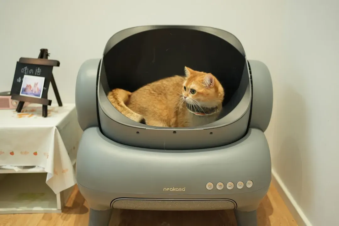 #8 Litter Box Avoidance or Straining (Image Credits: Unsplash)