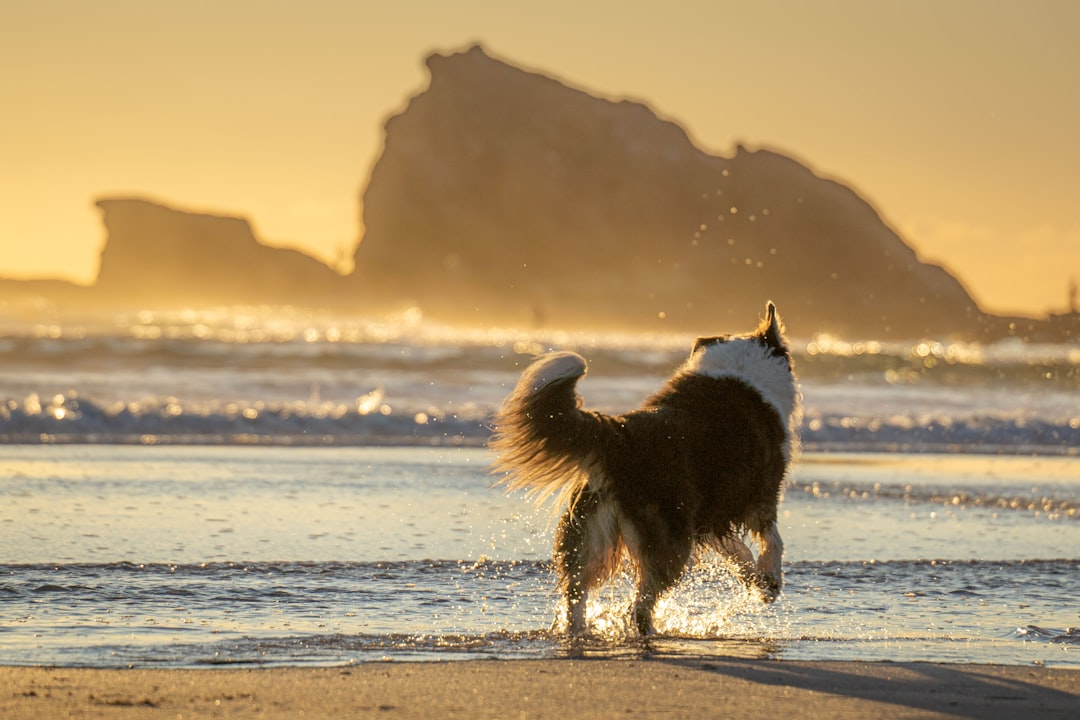 P-Waves: The First Clue (Image Credits: Unsplash)