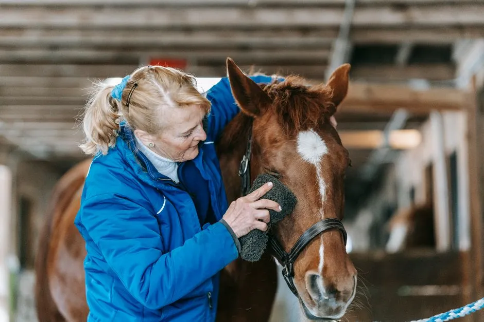 #6 - "He's Just Getting Grumpier To Groom" (Image Credits: Pexels)
