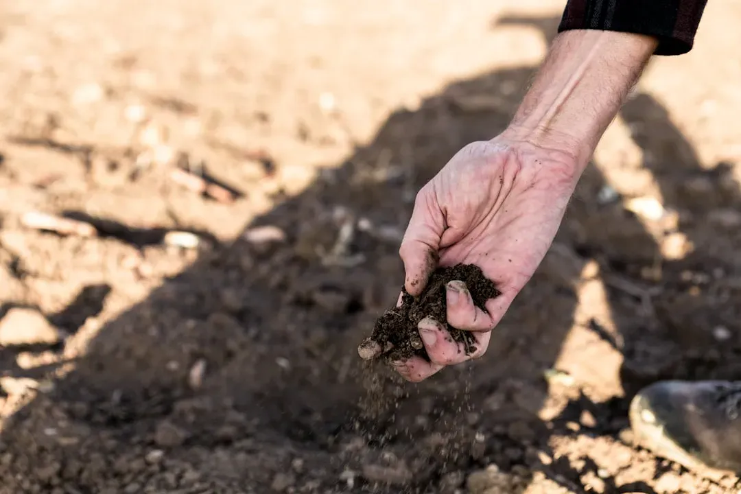 5. Test Your Soil Regularly (Image Credits: Unsplash)