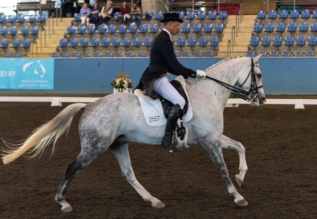 Horses Have Blind Spots Directly in Front and Behind Them (Image Credits: Flickr)