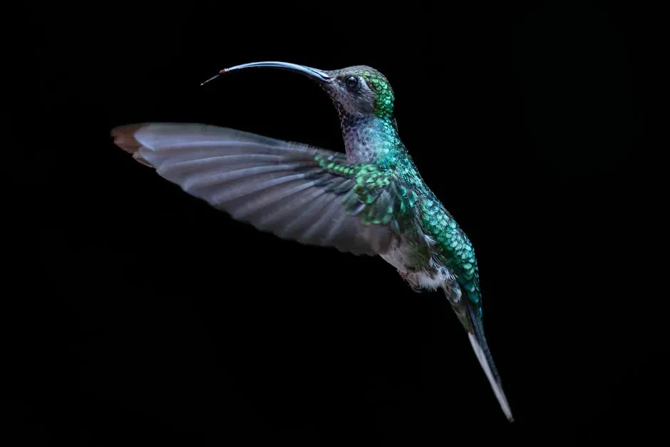 They Can See Colors That Are Completely Invisible to You (Image Credits: Pexels)