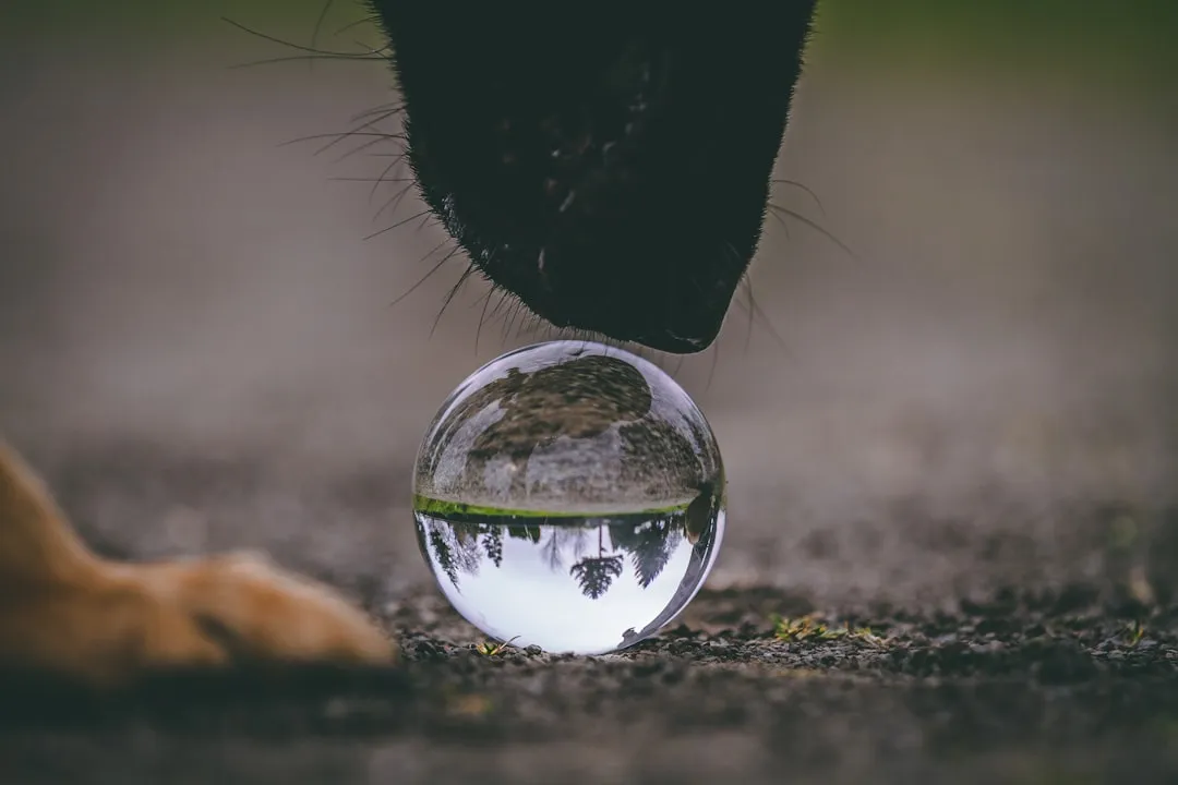 #4 - They Keep You in Their "Safety Bubble" Instead of Pushing You Out (Image Credits: Unsplash)