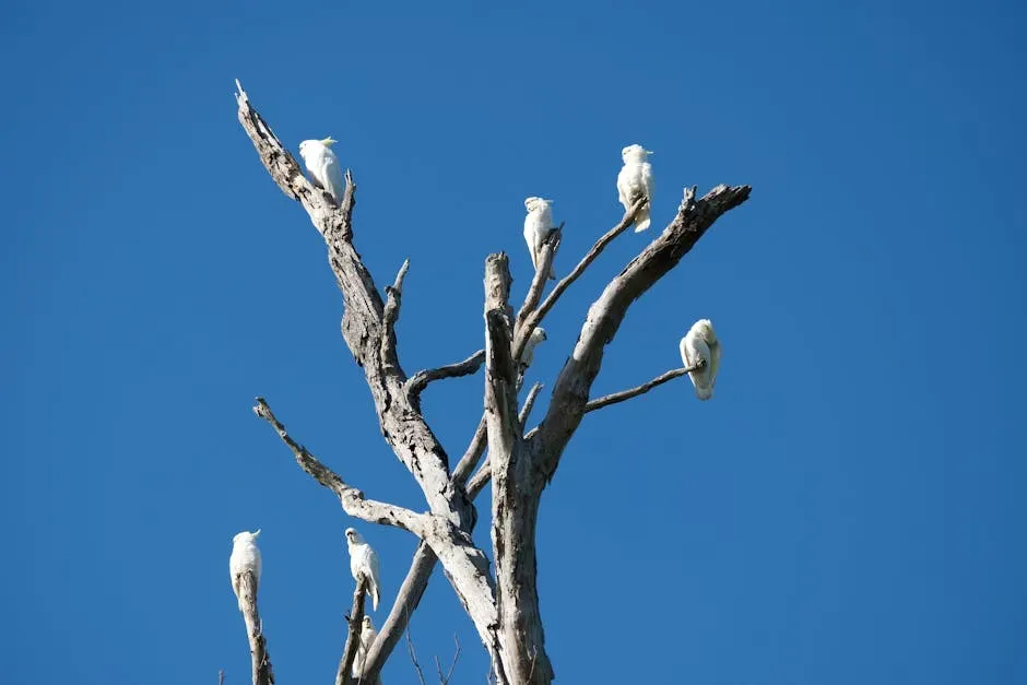 6. Leave Dead Trees and Snags Standing (Image Credits: Pexels)