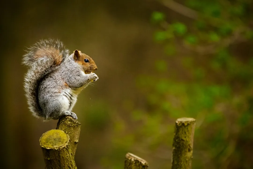 Deception or Just Clever Instinct? The Big Debate (Image Credits: Unsplash)