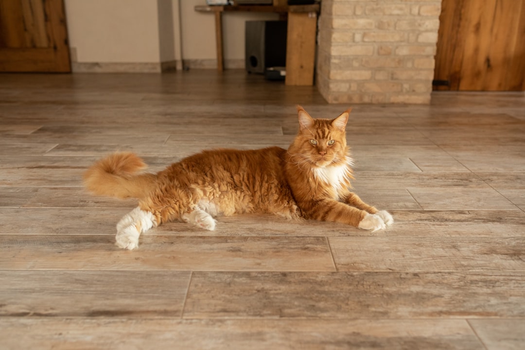 Choose Pet-Friendly Flooring Materials (Image Credits: Unsplash)