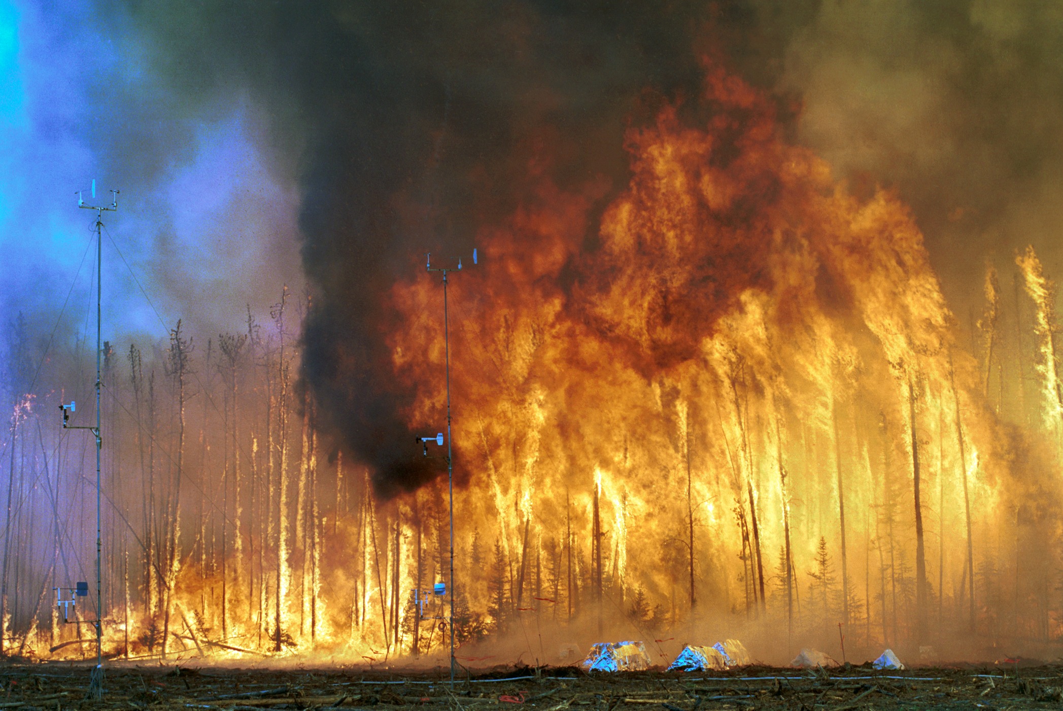 The Fire That Ate a Continent (Image Credits: Wikimedia)