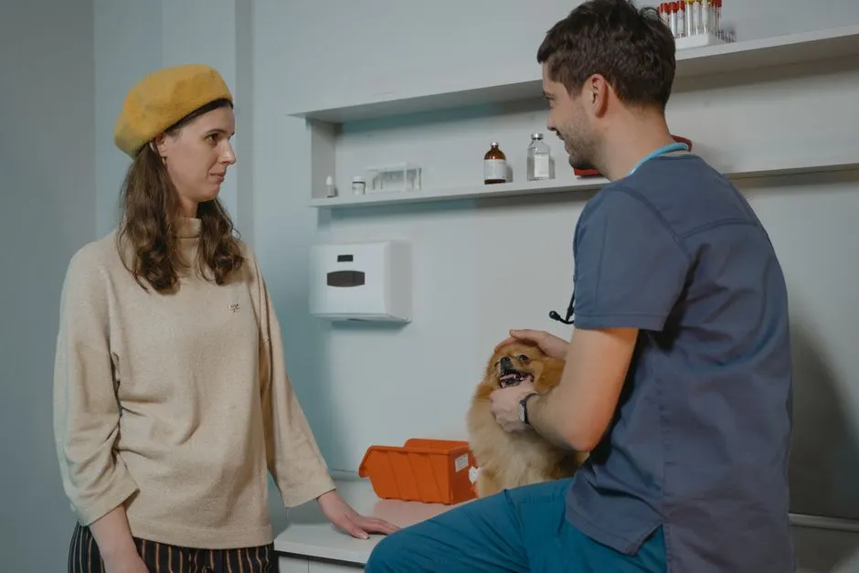 9. Refusing to Get in the Car or Go to the Vet (Image Credits: Pexels)