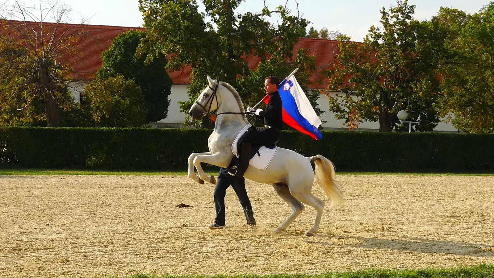 A Training Journey That Takes Years (Image Credits: Wikimedia)