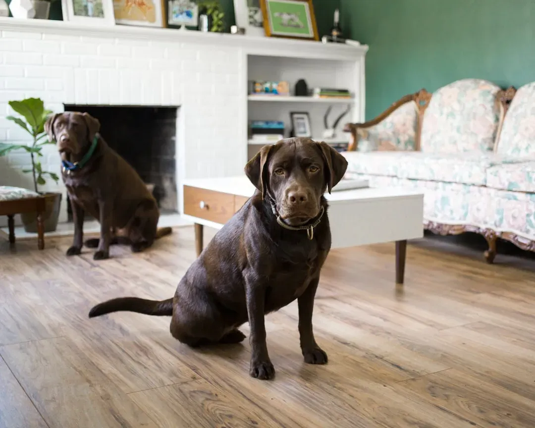 #1: Choose Flooring That Can Actually Handle the Life You Live (Image Credits: Unsplash)
