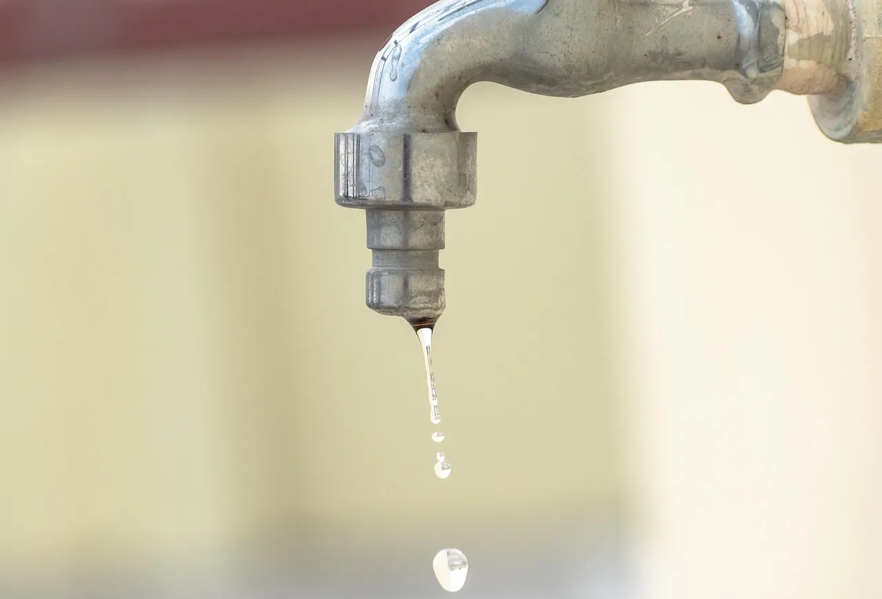 3. Hidden Plumbing Leaks and Condensation Inside Walls (Image Credits: Pixabay)