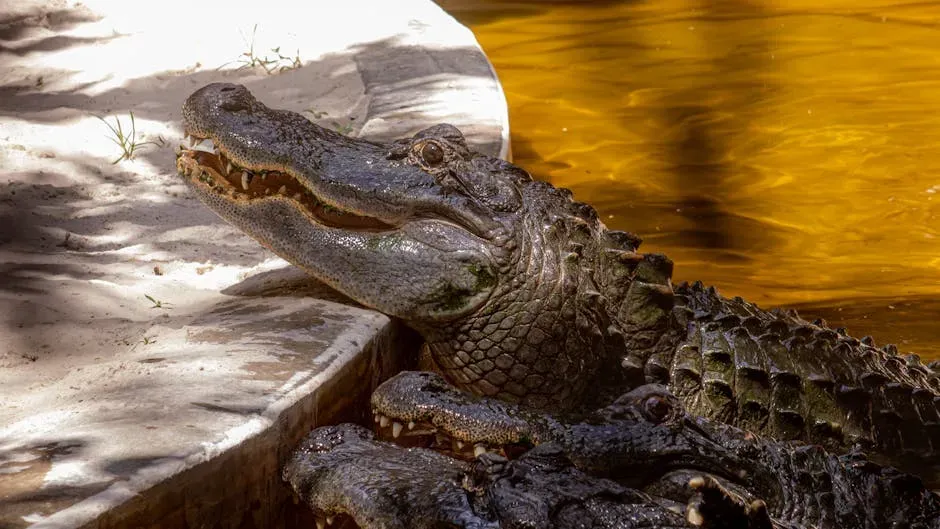 Feeding Changes Everything (Image Credits: Pexels)