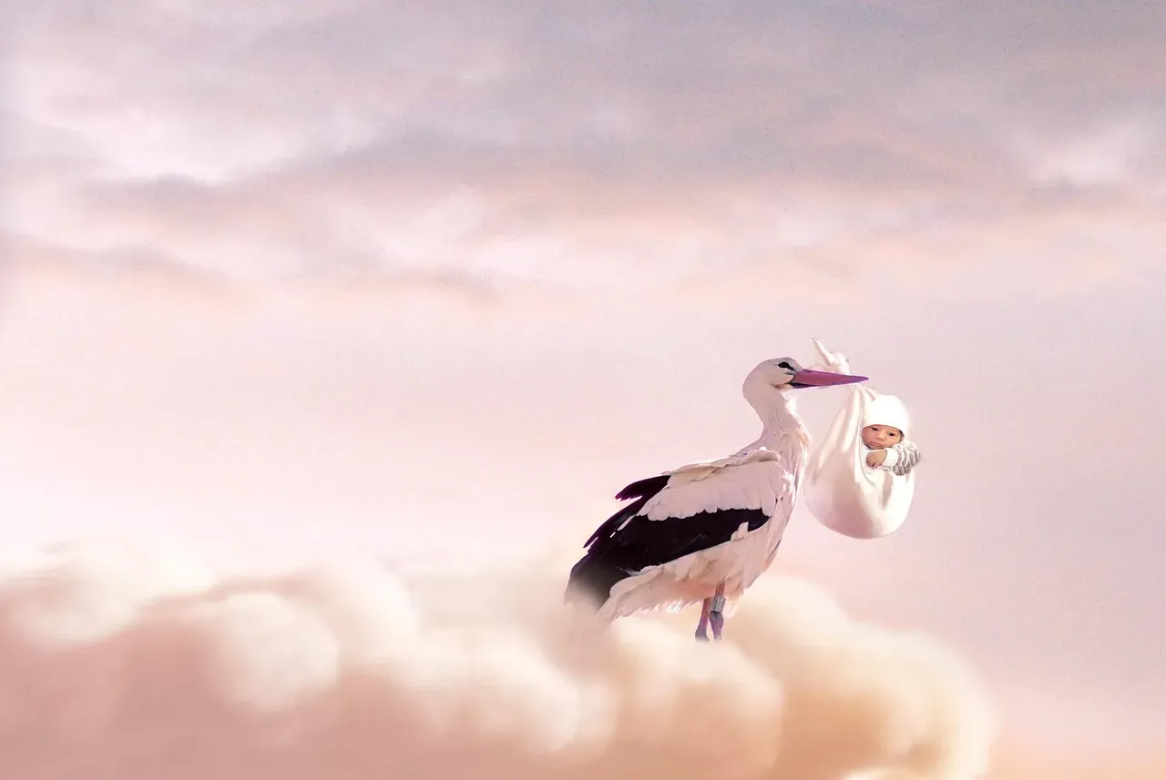 5. The Stork and the Baby - Europe's Favorite Fertility Tale (Image Credits: Pixabay)