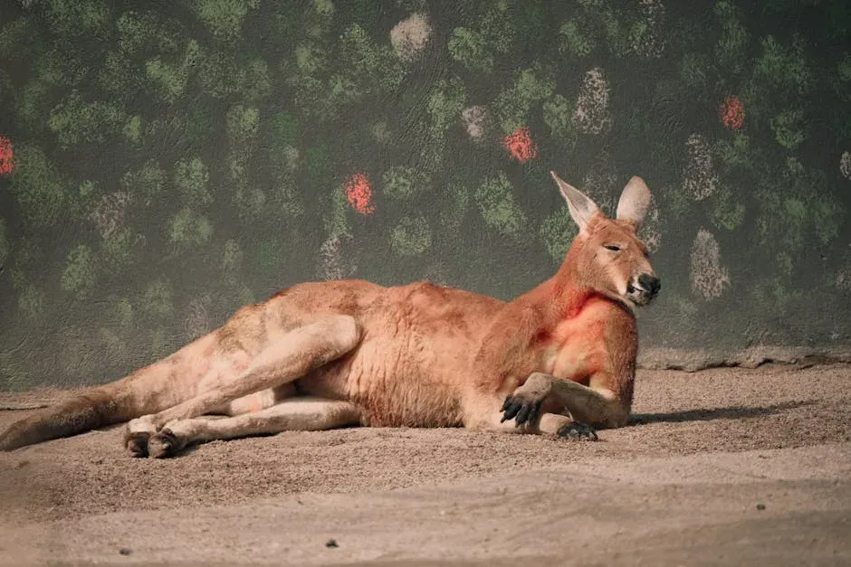 10. The Red Kangaroo: Australia's Heat-Beating Icon (Image Credits: Pexels)