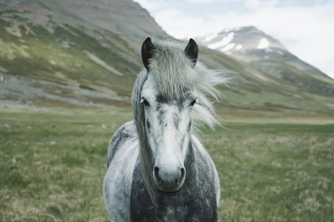 #11 - Micro "Check-Ins" While Pretending To Ignore You (Image Credits: Unsplash)