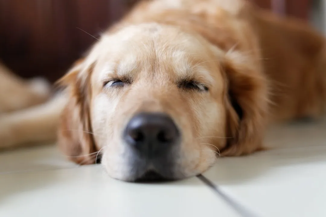 #13 - They Finally Fall Into a Deep, Ugly Sleep (Image Credits: Unsplash)