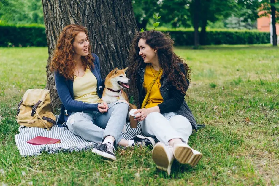 Addressing Common Criticisms (Image Credits: Pexels)