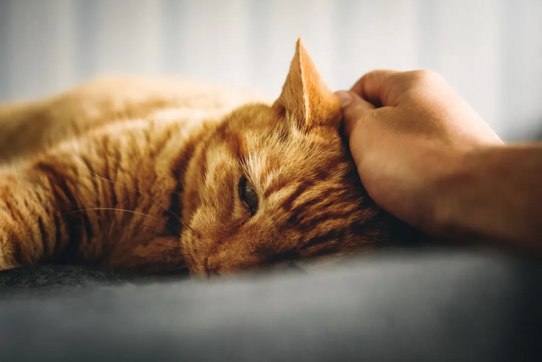 #17 - The "Last Perfect Moment" You Only Recognize in Hindsight (Image Credits: Unsplash)