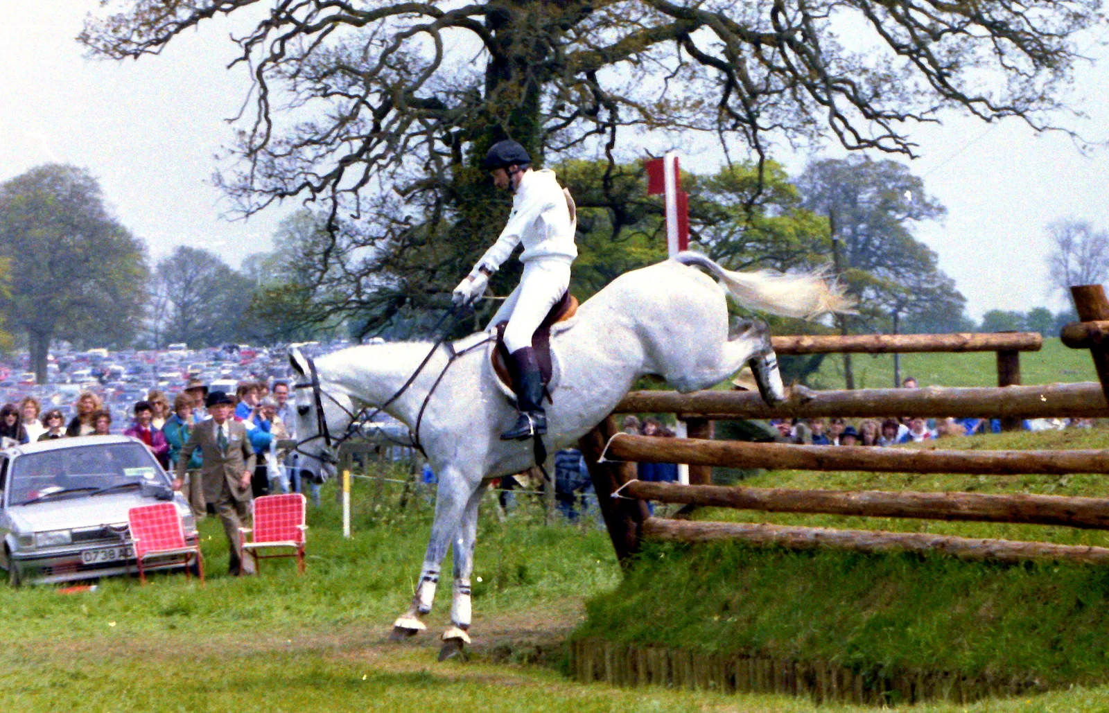 #16 - Irish Sport Horse: Built Tough, Priced Tougher (Geograph Britain and Ireland, CC BY-SA 2.0)