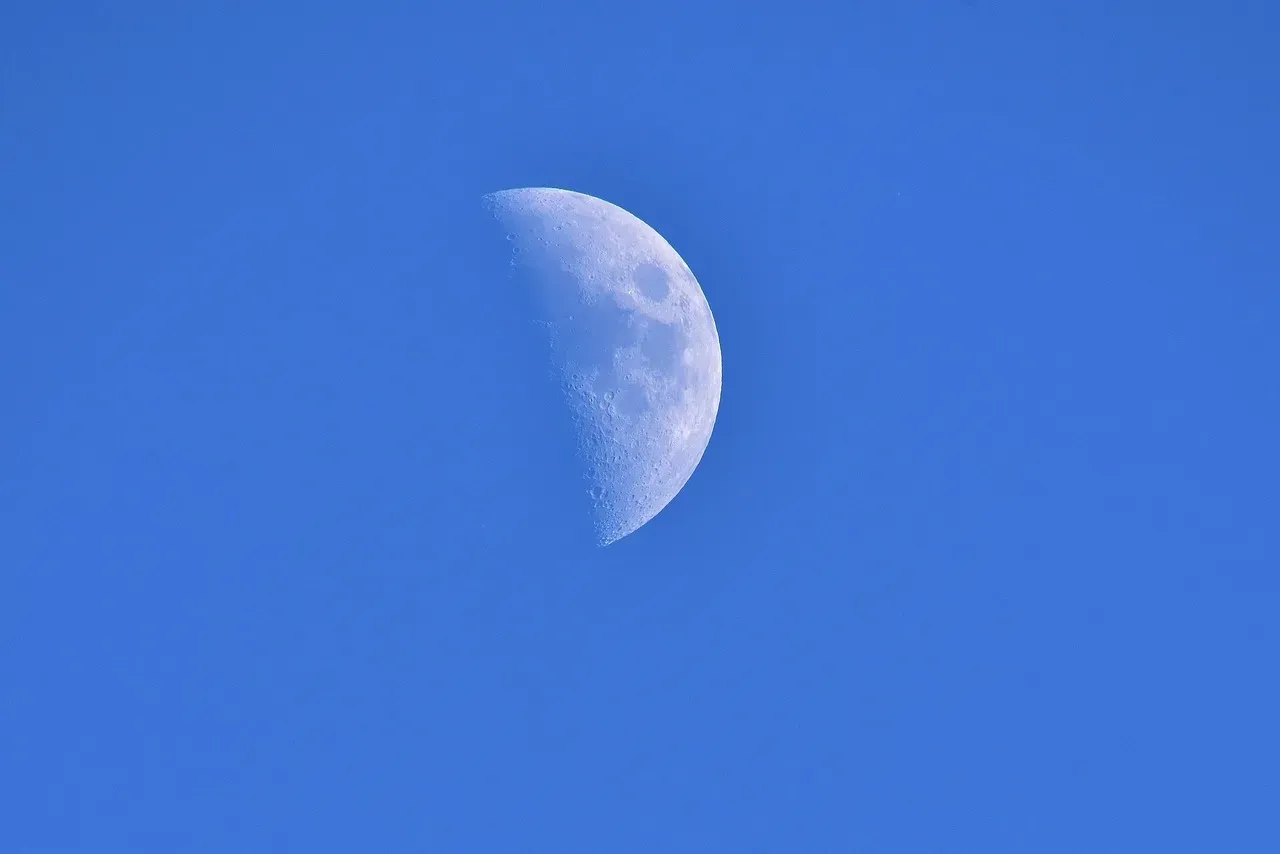 What Is Driving This Activity? (Image Credits: Pixabay)