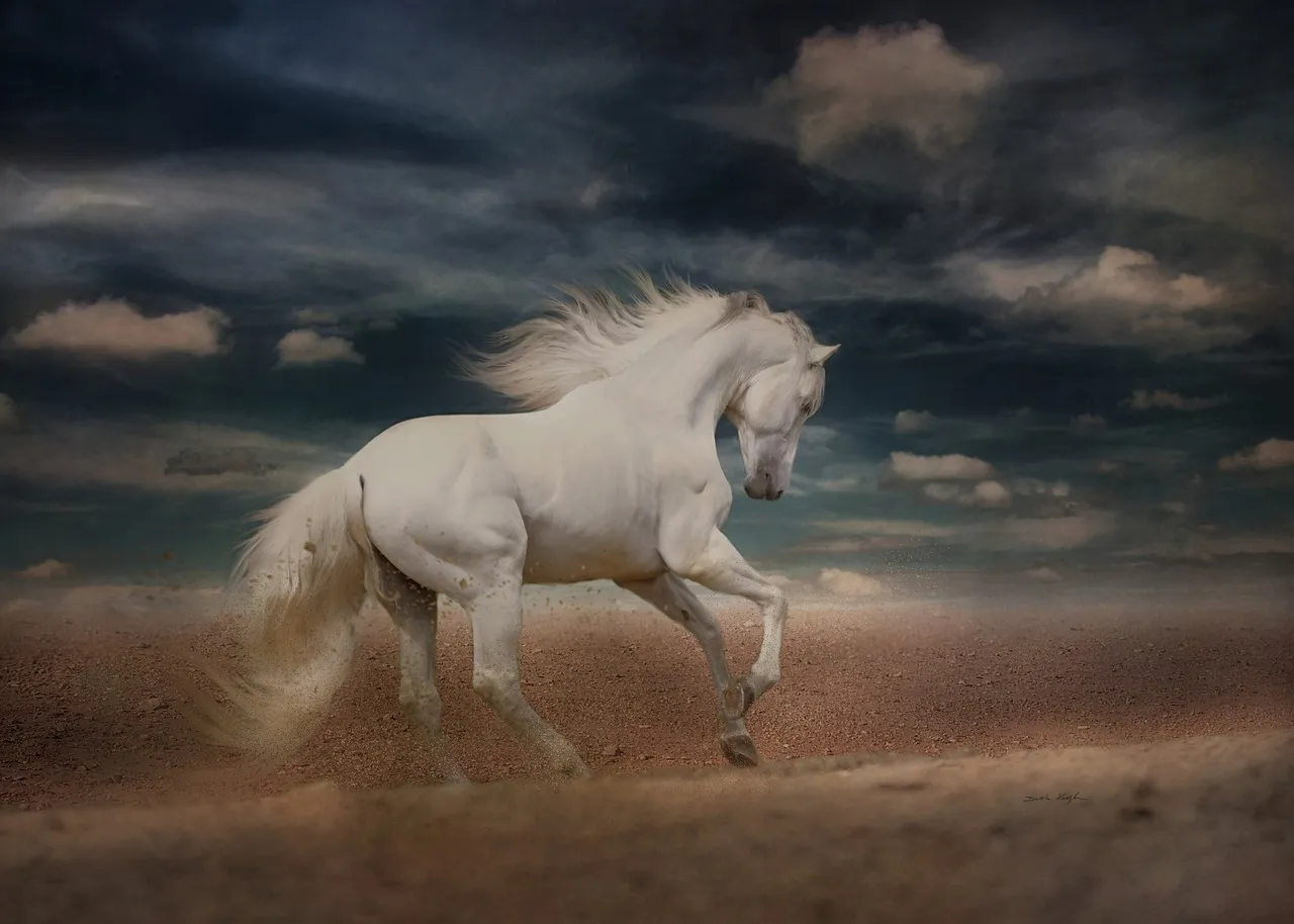 #23 - Andalusian / PRE: Living Art With a Maintenance Contract (Image Credits: Pixabay)