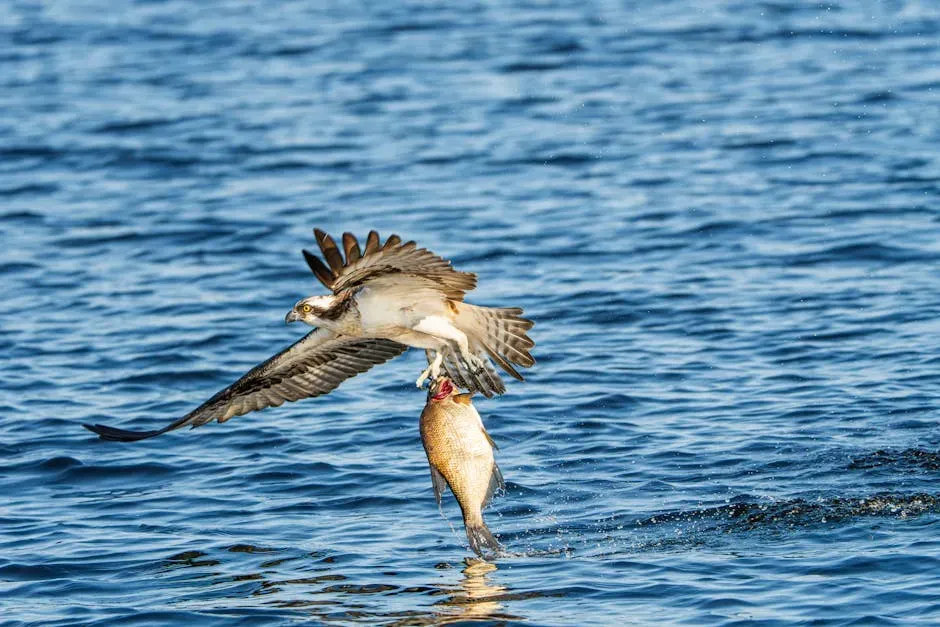 4. Warren, Maine - Where the Alewife Run Creates a Feeding Frenzy (Image Credits: Pexels)