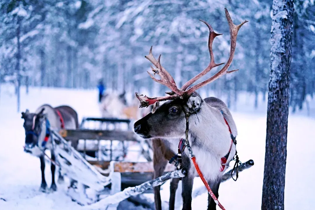 Rudolph's Depression-Era Birth (Image Credits: Unsplash)