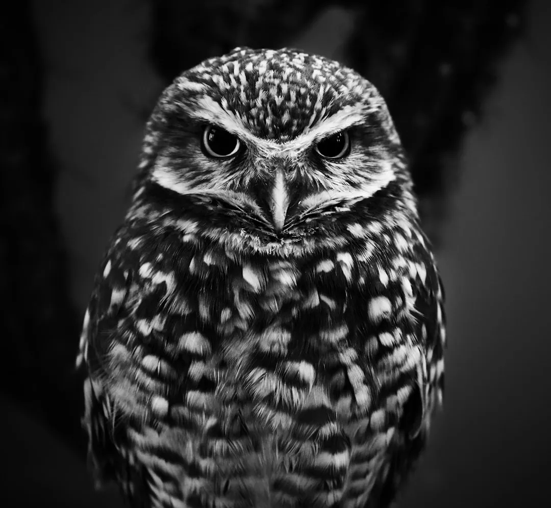 #4 - Guardians Standing Watch Against Spiritual Danger (Image Credits: Unsplash)