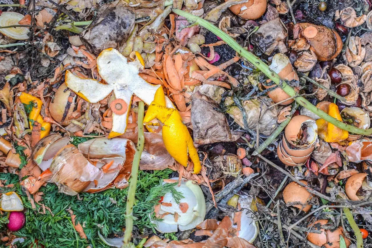 #12 - Composting Isn't Optional if You're in This for the Long Haul (Image Credits: Pixabay)