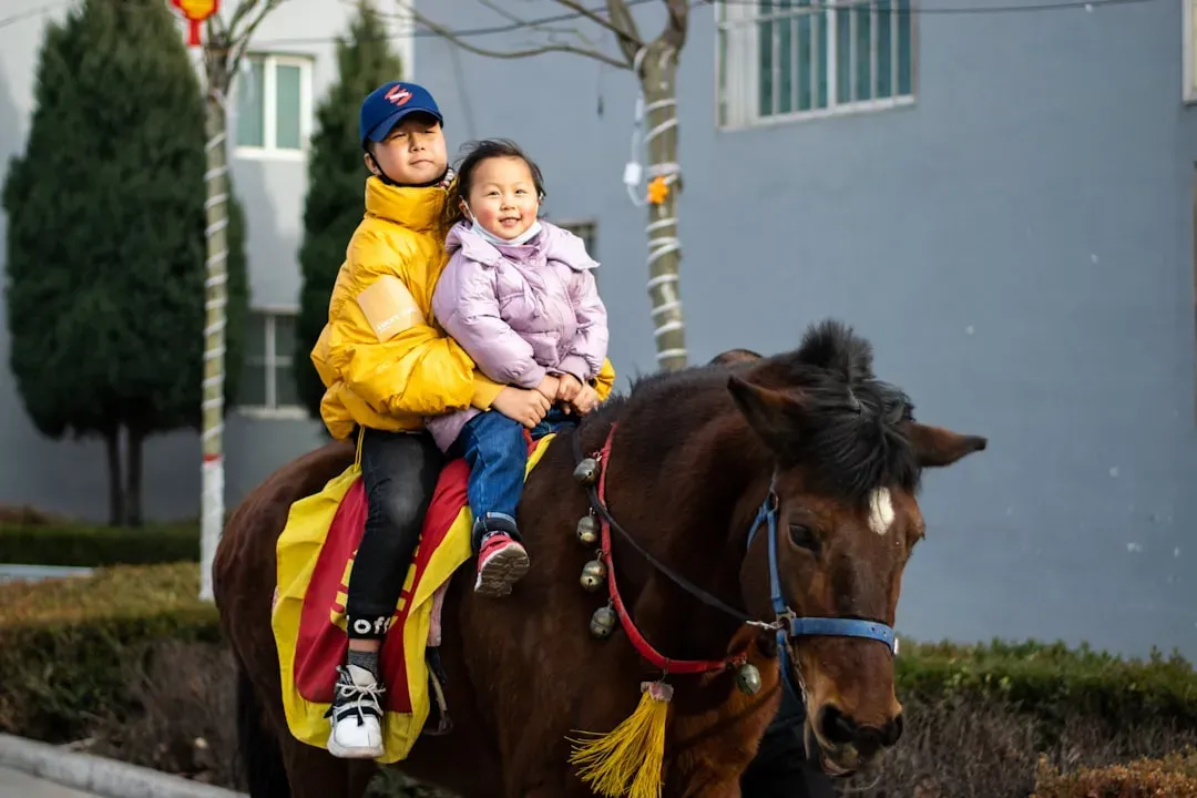 Love and Relationships Under Fire Horse Energy (Image Credits: Unsplash)
