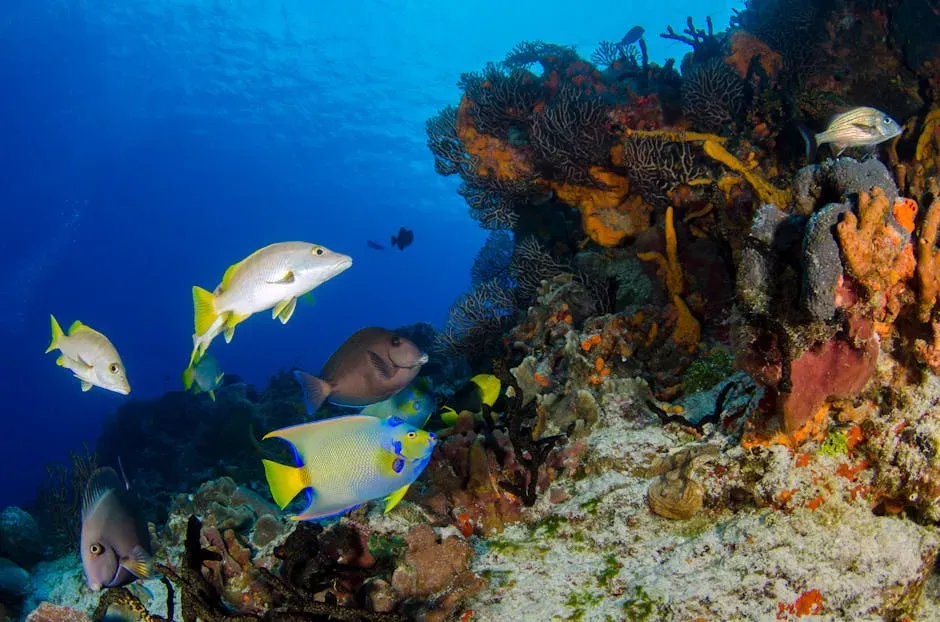 Conclusion: A Planet Held Together by What Lives in the Sea (Image Credits: Pexels)
