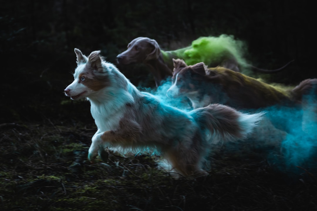 The Transformation That Comes Through Facing Fear (Image Credits: Unsplash)