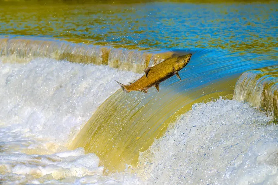 The Klamath River: A Case Study in What's Possible (Image Credits: Pexels)