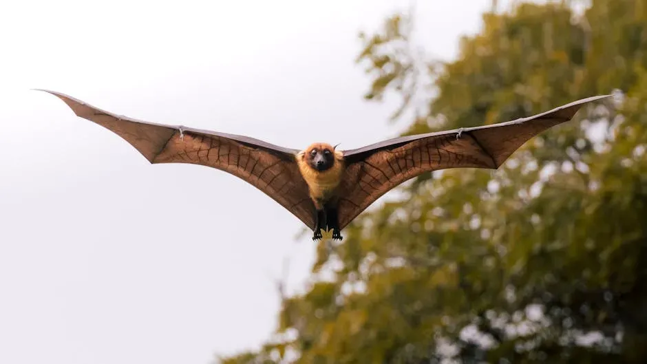 Misconception 1: Bats Are Blind (Image Credits: Pexels)