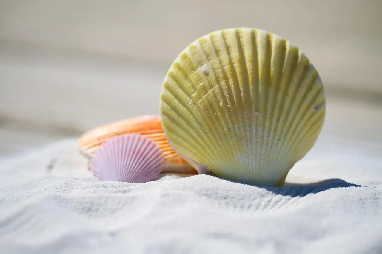 Conclusion: The Smallest Historians of the Sea (Image Credits: Pixabay)