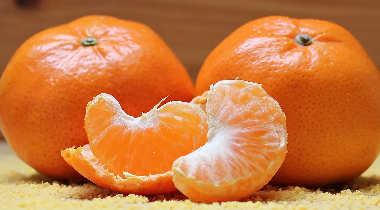 Citrus (Image Credits: Pixabay)