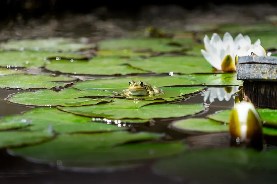 Water Quality and Chemical Influences (Image Credits: Unsplash)