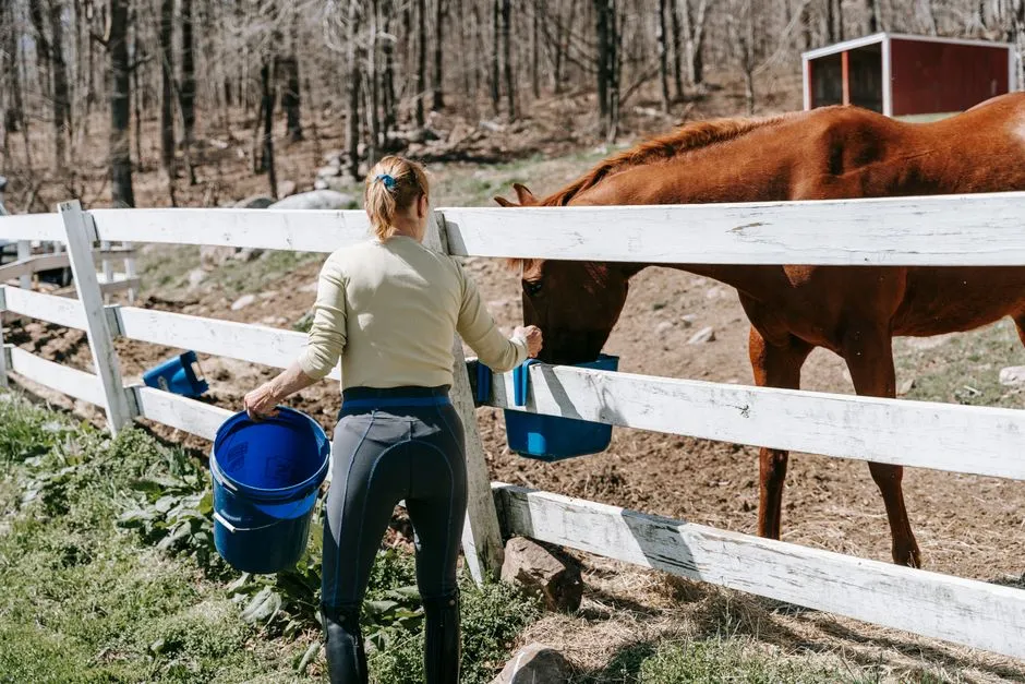 14. Grain Isn't the Reward Horse People Think It Is (Image Credits: Pexels)