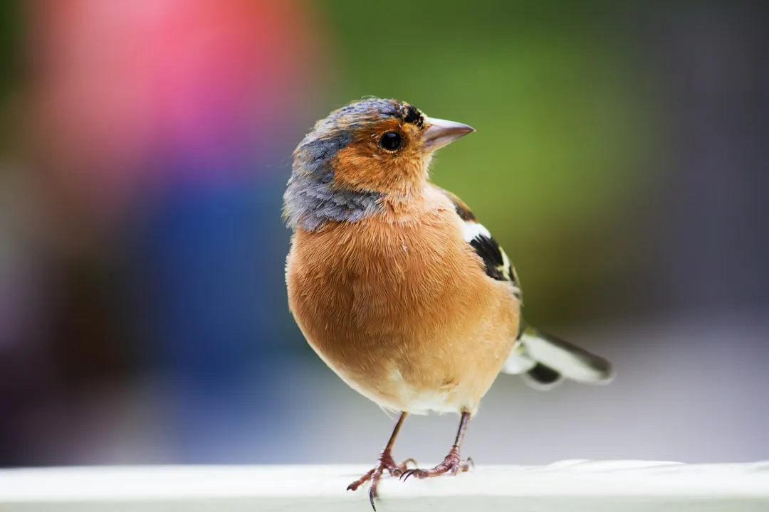 #4 - Showing Curiosity Instead of Startle at New Objects You Handle (Image Credits: Unsplash)