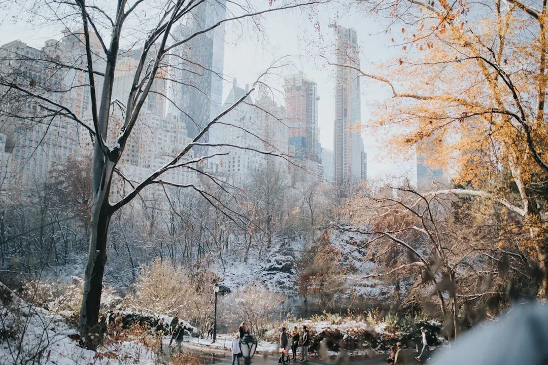 New York City: Winter Charm and Urban Magic (Image Credits: Unsplash)