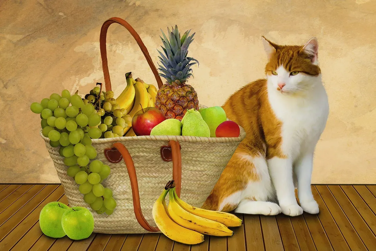 Maintain an Ideal Body Weight (Image Credits: Pixabay)