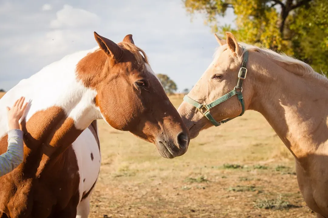 4. Biting and Nipping (Image Credits: Unsplash)