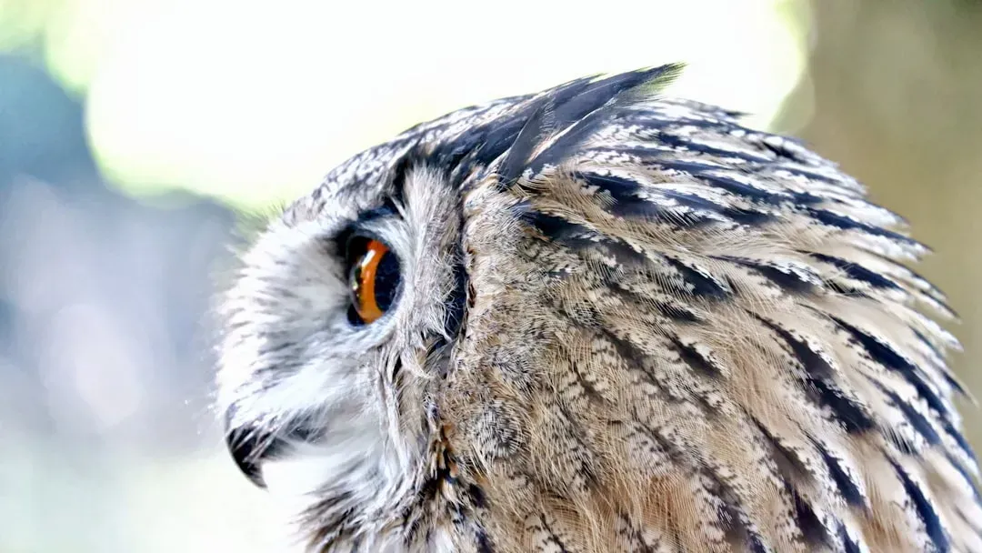 Their Hearing Is Almost Supernatural (Image Credits: Unsplash)
