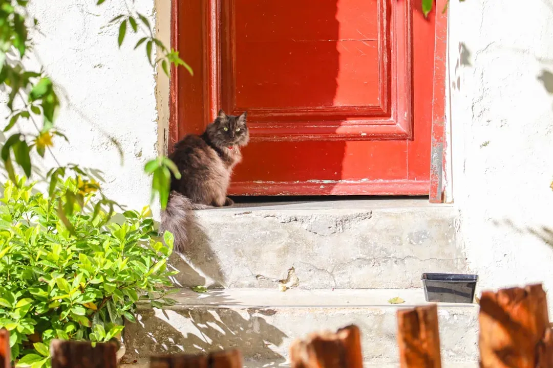 8. They Greet You at the Door (Image Credits: Unsplash)